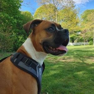 Meet your Posher, Maria